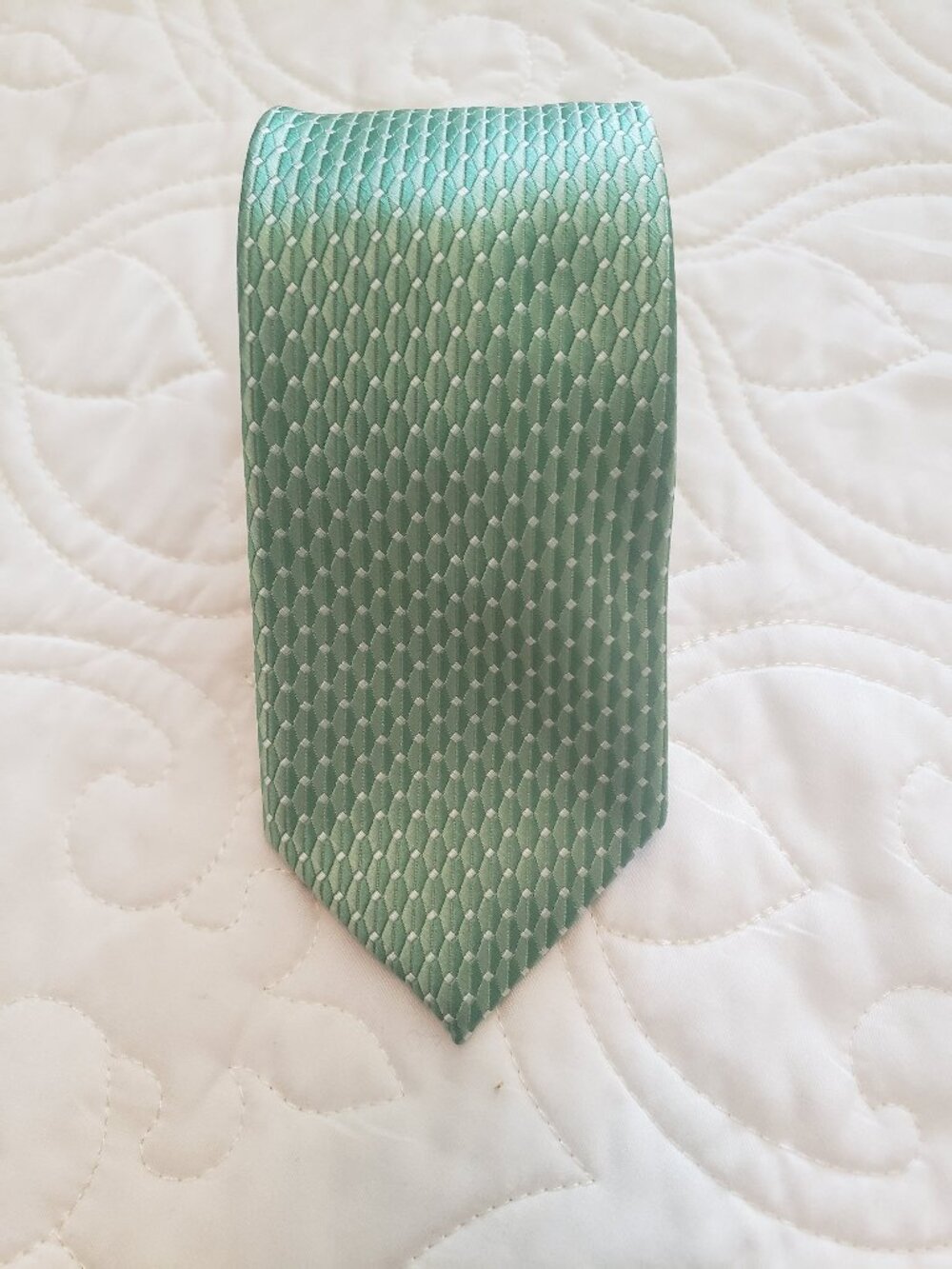 Light Green Necktie
